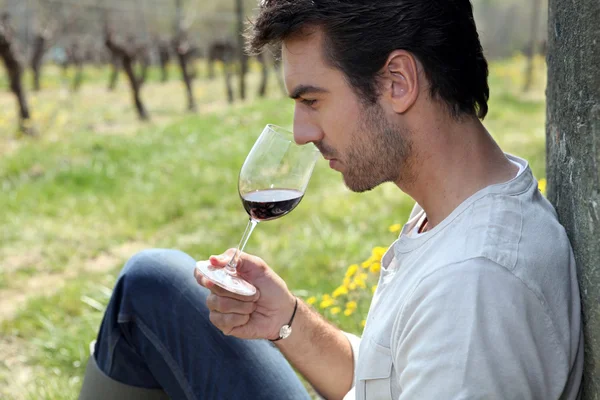 Man tasting wine in field Dubroca_Joffrey_140410 — Stock Photo, Image