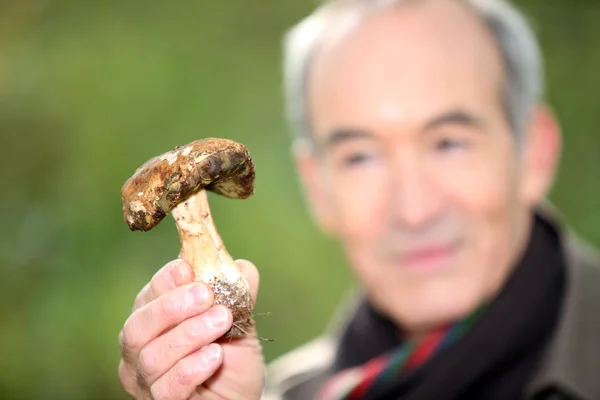 Homme tenant un champignon sauvage — Photo