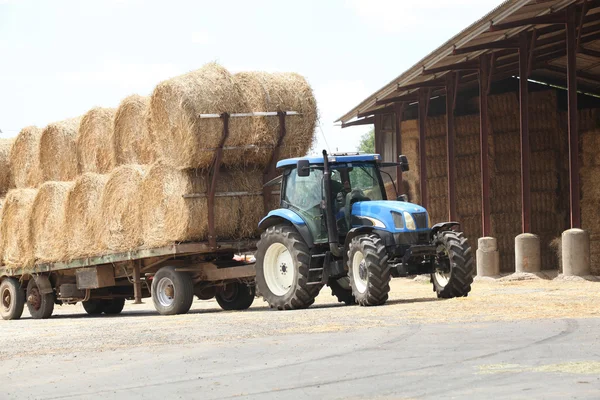 Tractor con heno — Foto de Stock