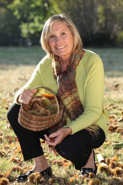 Portrait of a woman collecting chestnuts — Stock Photo, Image