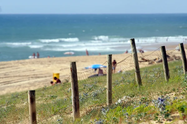 Zaun um einen Strand — Stockfoto