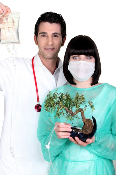 Médico e enfermeiro com gotejamento e bonsai — Fotografia de Stock