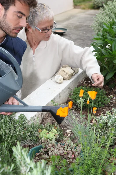 若い男性と年配の女性の植物に水をまく — ストック写真