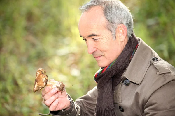 Senior man holding holding wild mushroom — Stock Photo, Image