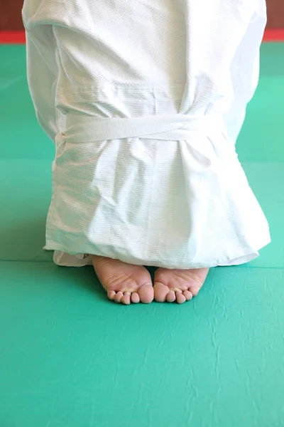 Indietro colpo di uomo inginocchiato su un tappetino judo — Foto Stock