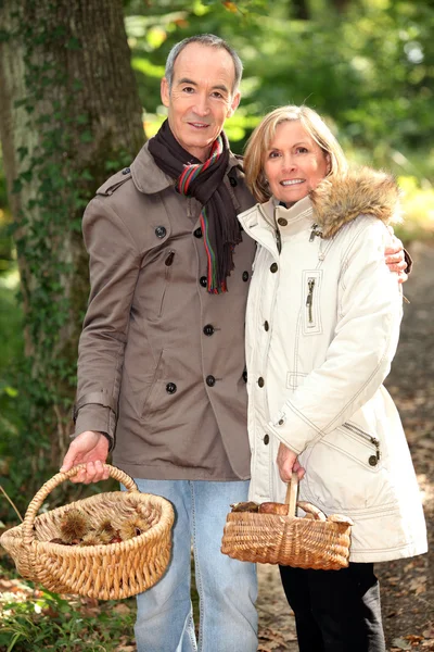 Couple d'âge moyen avec panier de champignons Photos De Stock Libres De Droits