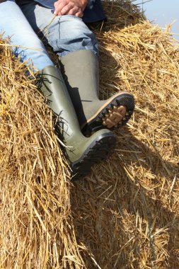 A farmer seated on a straw bale, close-up of his legs clipart