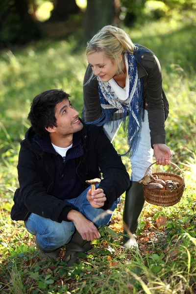 Pareja feliz recogiendo setas — Foto de Stock