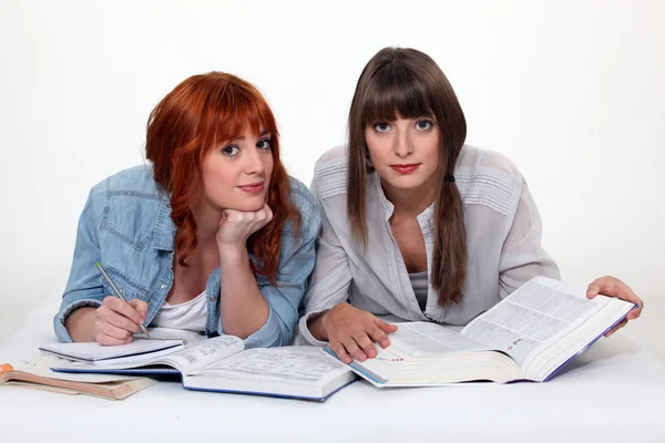 Dos estudiantes universitarios revisando para el examen Fotos de stock libres de derechos