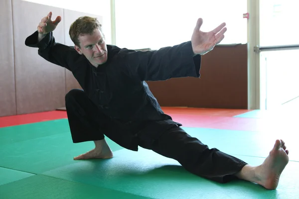 Martial arts — Stock Photo, Image