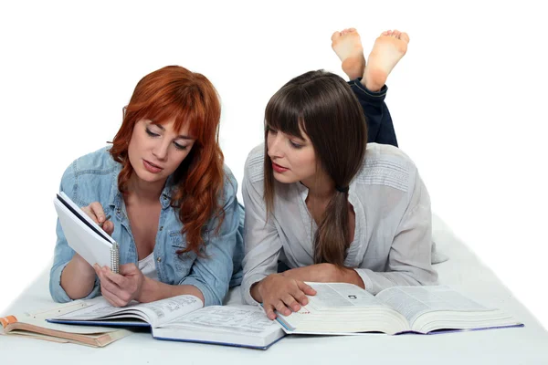 Zwei Mädchen lernen zusammen — Stockfoto