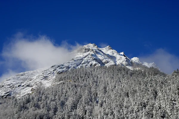 Montagna nebbiosa — Foto Stock