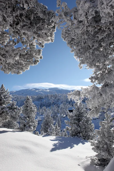 Paesaggio montano — Foto Stock