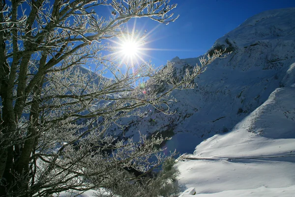 雪に覆われた山の上に輝く太陽 — ストック写真