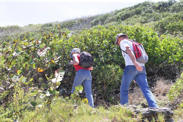 Caminhadas de casal através da vinha — Fotografia de Stock