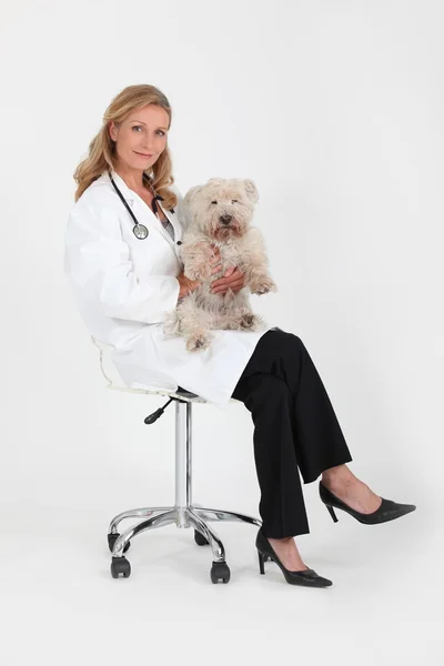 Vet with a dog — Stock Photo, Image
