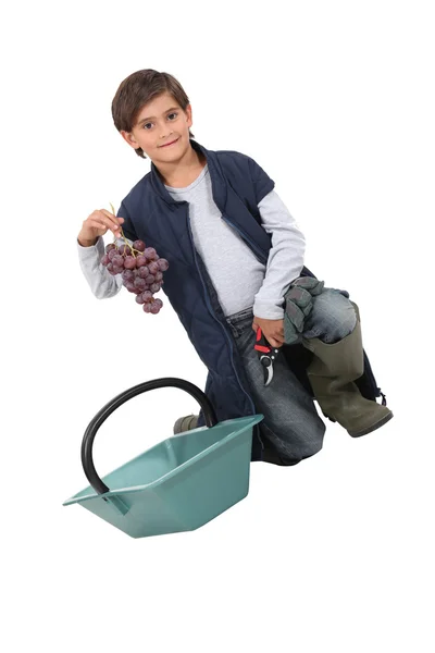 Little boy dressed as grape-picker — Stock Photo, Image