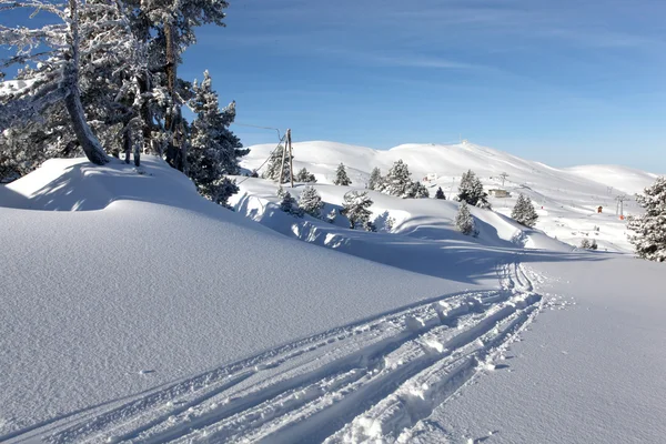 Pistas en la nieve —  Fotos de Stock