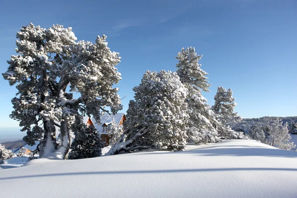 Sneeuwlandschap — Stockfoto