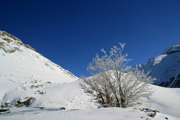 Sommet isolé de la montagne — Photo