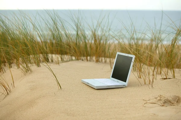 Laptop bir plajda — Stok fotoğraf