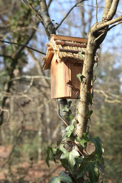 Bird house — Stock Photo, Image