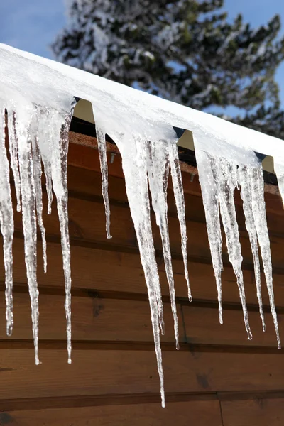 Stalactite appesa allo chalet Fotografia Stock