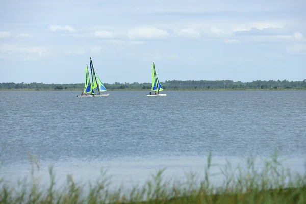 Planche à voile sur un lac — Photo