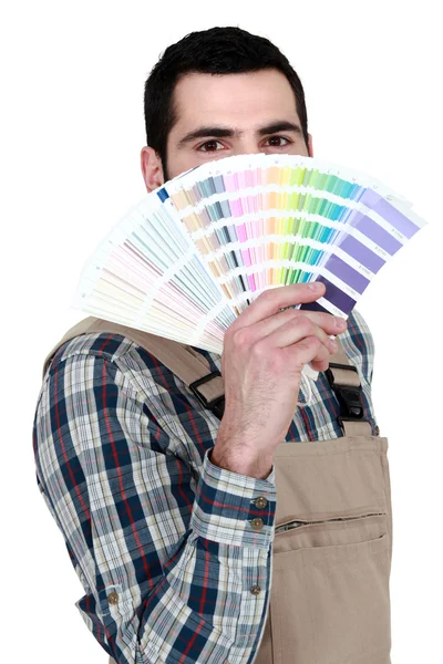 Decorateur met een Kleurenoverzicht — Stockfoto