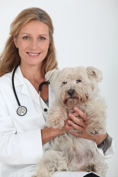 Dame vétérinaire avec un petit chien blanc grincheux — Photo