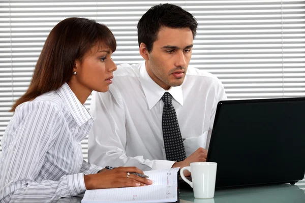 Bedrijf op zoek op een laptop — Stockfoto