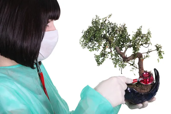 Врач использует стетоскоп на растении — стоковое фото