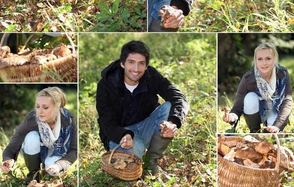 Paar verzamelen van paddestoelen — Stockfoto