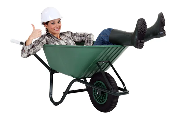 Resting in my wheelbarrow. — Stock Photo, Image