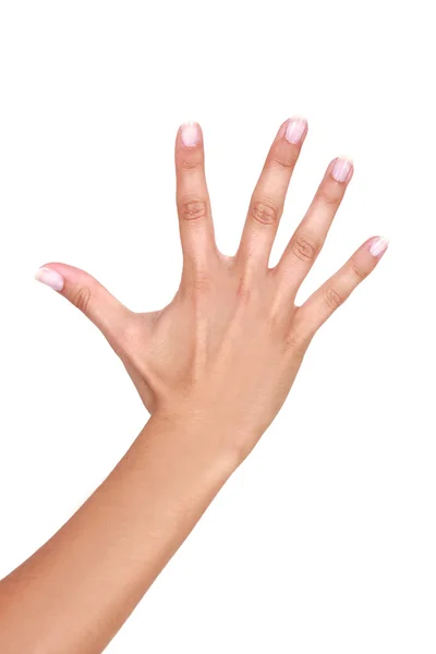 Kvinnelig hånd – stockfoto