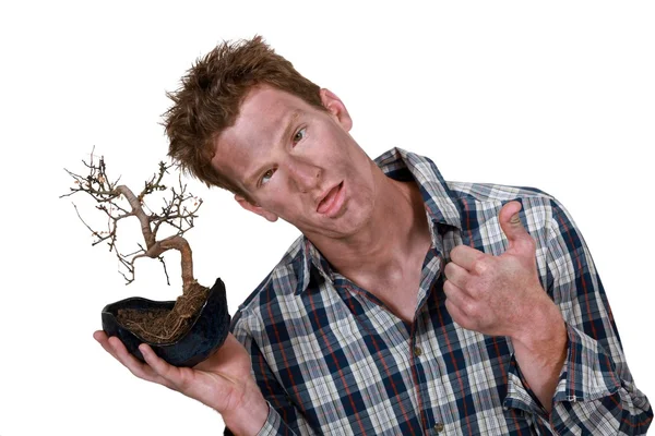 Man with bonsai — Stock Photo, Image