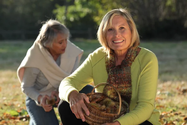 Dwie dojrzałe kobiety, zbieranie kasztanów — Zdjęcie stockowe