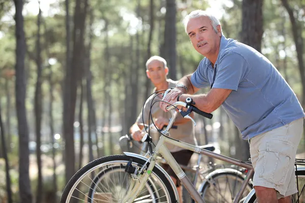 两个老人骑着自行车在公园里 — 图库照片