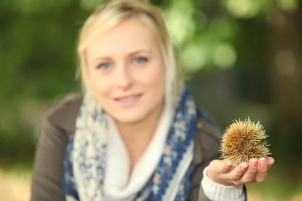 Woman holding a chestnut burr — Stock Photo, Image