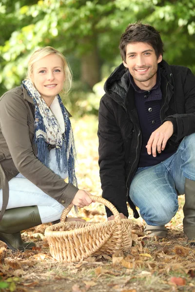 Couple ramassant châtaignes — Photo