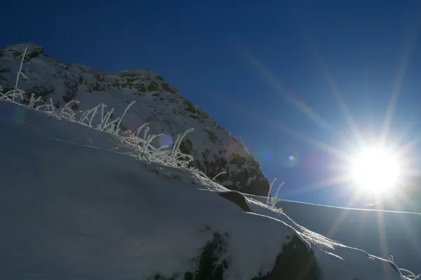 Montagnes couvertes de neige — Photo