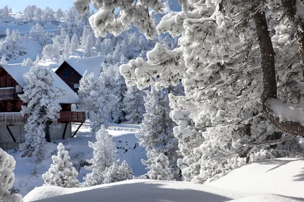 Cabine innevate — Foto Stock