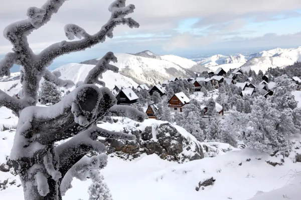 Paese delle meraviglie invernali — Foto Stock