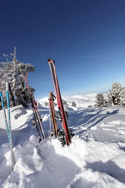 Skis coincés dans la neige — Photo