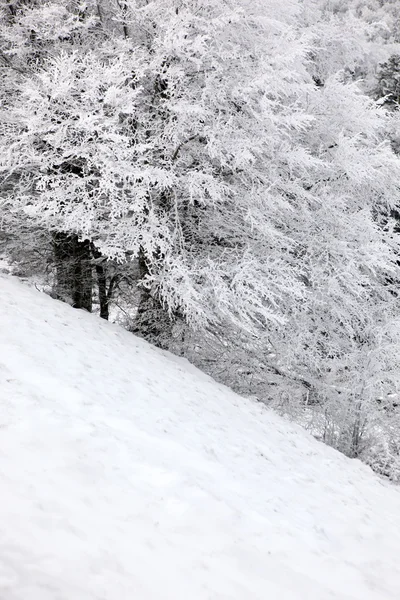 Hill v zimě — Stock fotografie