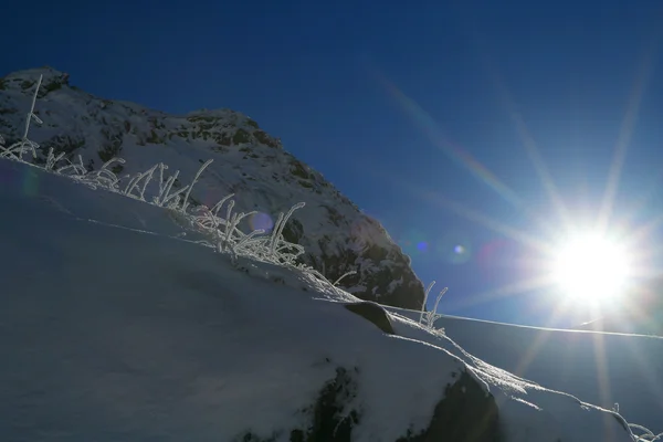 Schneebedeckte Hügel lizenzfreie Stockfotos