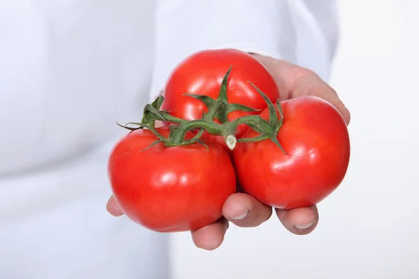 Szef kuchni, posiadający trzy ODP pomidory w ręku — Zdjęcie stockowe