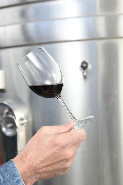 Homem segurando copo de vinho tinto — Fotografia de Stock