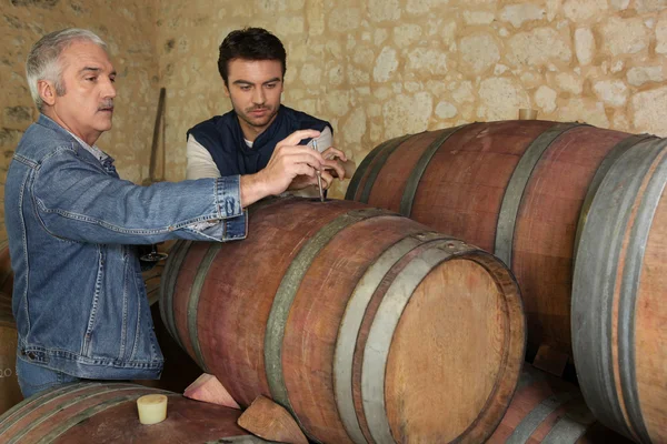 Två män provtagning vin i källaren — Stockfoto