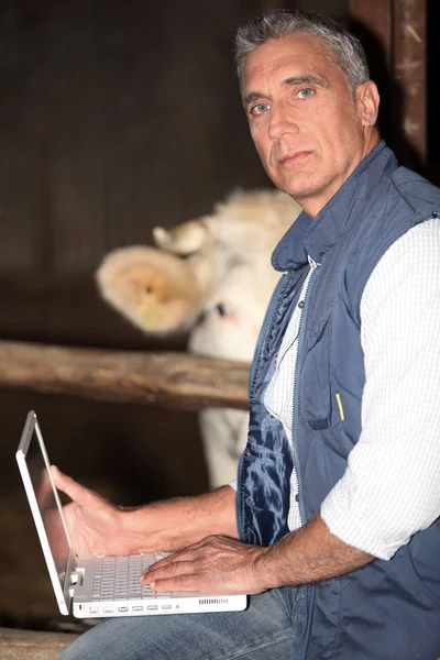 Farmer using his laptop in the barn — Stock Photo, Image